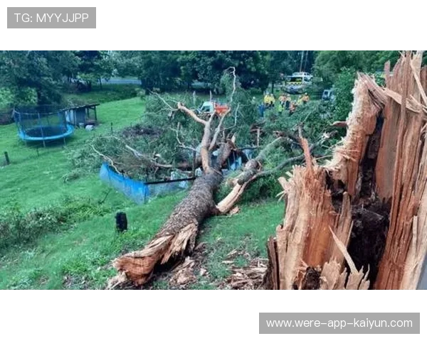 极端天气下的战术调整方案，极端天气解决办法
